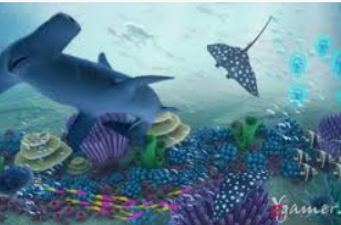 掌中彩welcome客户端